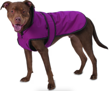 PetRageous Designs Juneau Insulated Dog Jacket